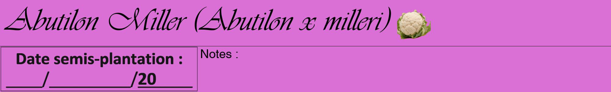 Étiquette de : Abutilon x milleri - format a - style noire52viv avec comestibilité simplifiée