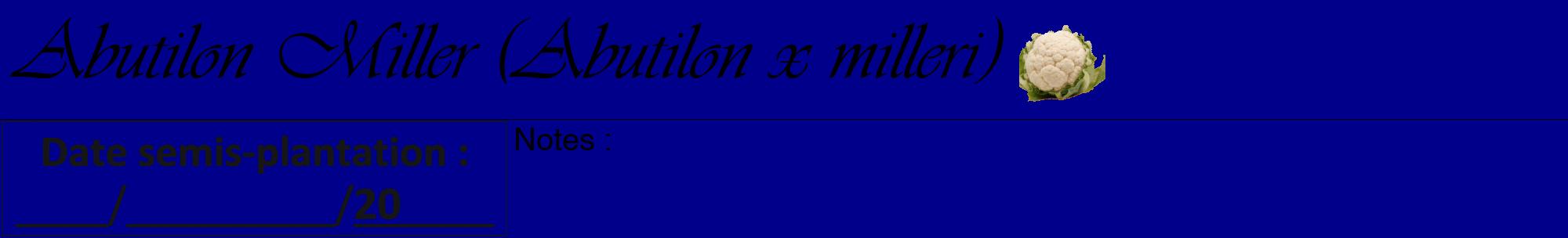 Étiquette de : Abutilon x milleri - format a - style noire7viv avec comestibilité simplifiée