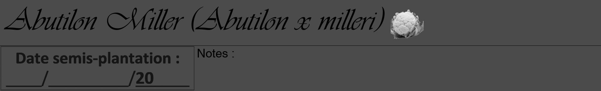 Étiquette de : Abutilon x milleri - format a - style noire9viv avec comestibilité simplifiée
