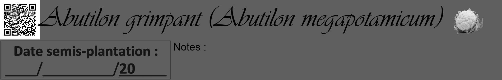 Étiquette de : Abutilon megapotamicum - format a - style noire10basiqueviv avec qrcode et comestibilité simplifiée