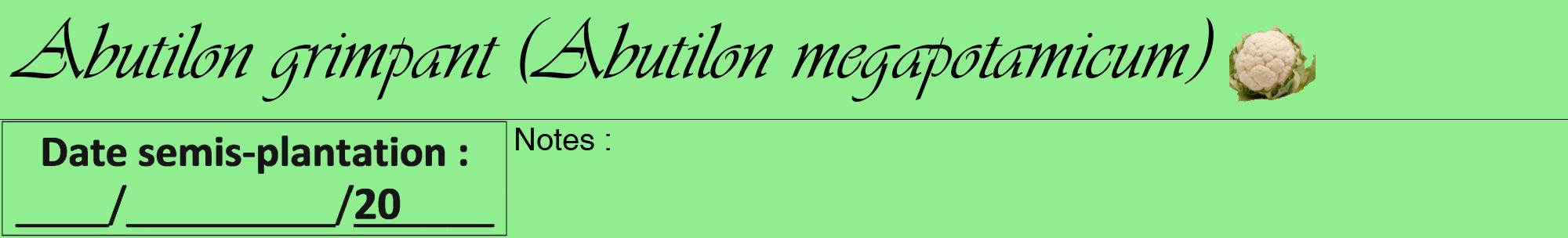 Étiquette de : Abutilon megapotamicum - format a - style noire15viv avec comestibilité simplifiée