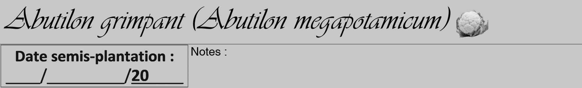 Étiquette de : Abutilon megapotamicum - format a - style noire15viv avec comestibilité simplifiée