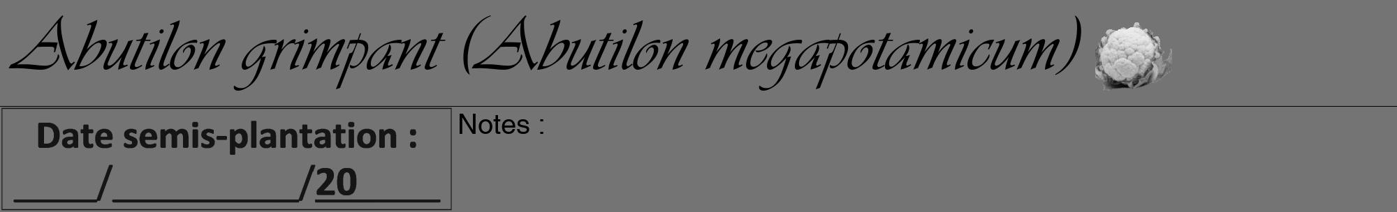Étiquette de : Abutilon megapotamicum - format a - style noire26viv avec comestibilité simplifiée