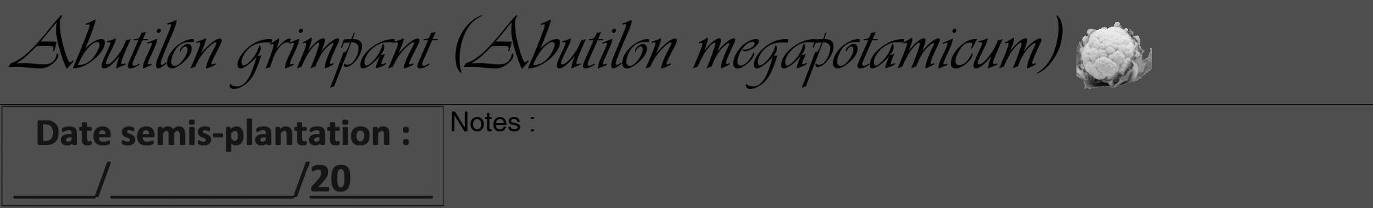 Étiquette de : Abutilon megapotamicum - format a - style noire33viv avec comestibilité simplifiée