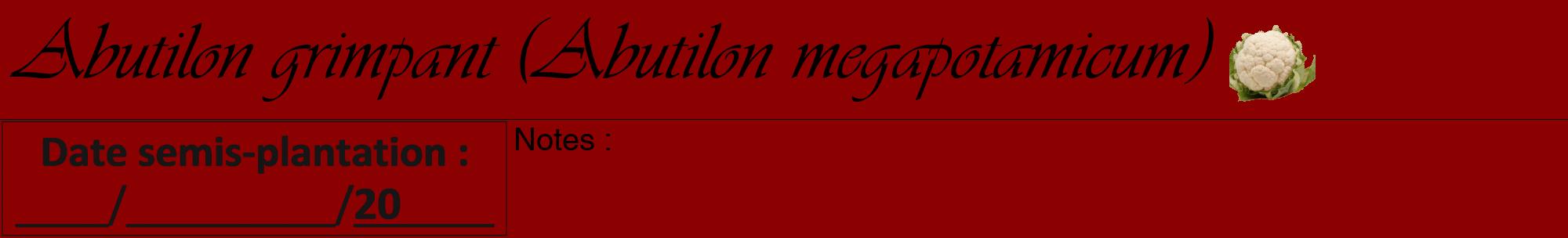 Étiquette de : Abutilon megapotamicum - format a - style noire34viv avec comestibilité simplifiée