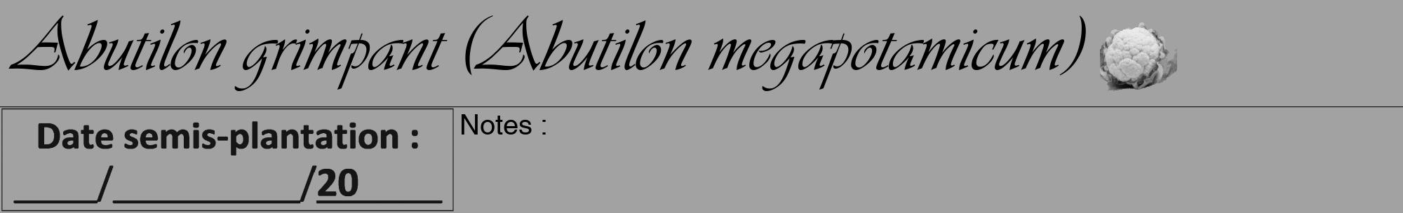 Étiquette de : Abutilon megapotamicum - format a - style noire38viv avec comestibilité simplifiée