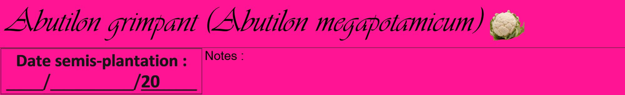 Étiquette de : Abutilon megapotamicum - format a - style noire43viv avec comestibilité simplifiée