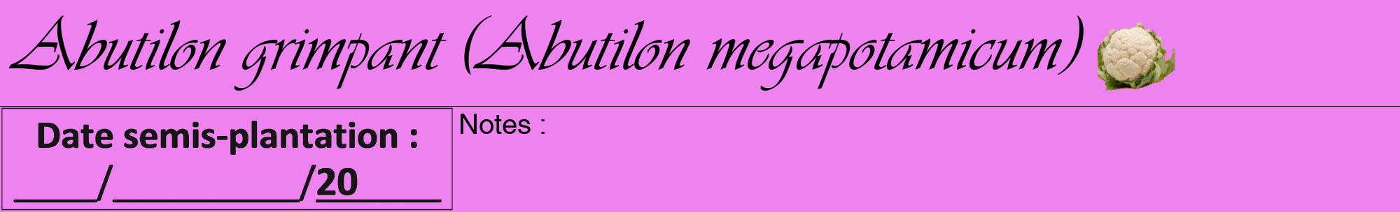 Étiquette de : Abutilon megapotamicum - format a - style noire53viv avec comestibilité simplifiée