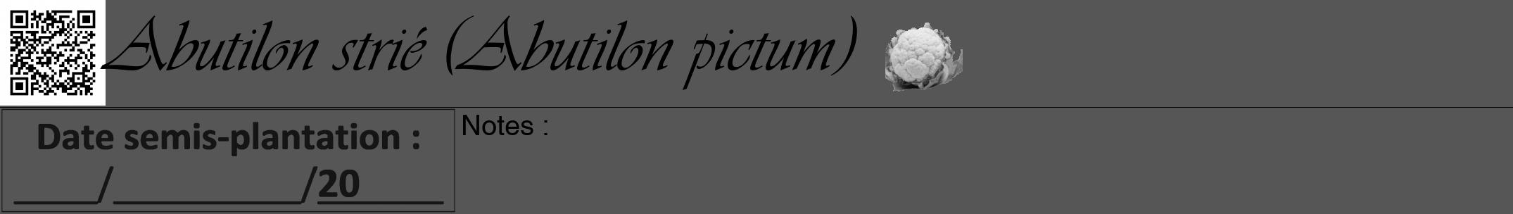Étiquette de : Abutilon pictum - format a - style noire45viv avec qrcode et comestibilité simplifiée