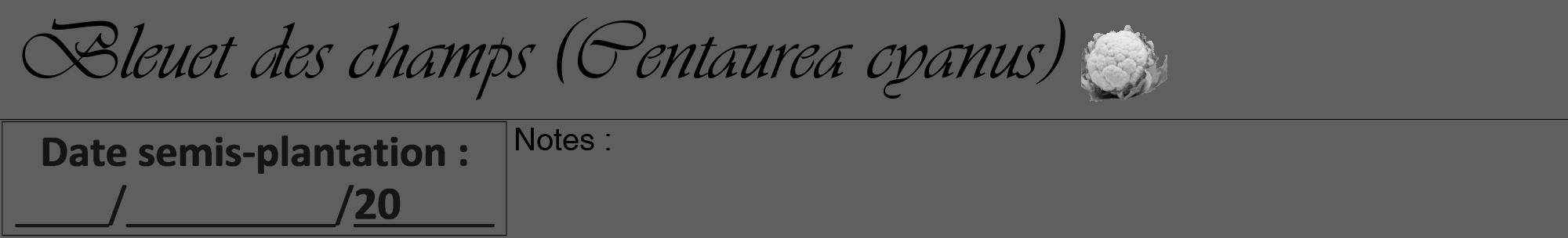 Étiquette de : Centaurea cyanus - format a - style noire10viv avec comestibilité simplifiée