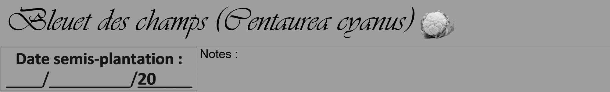 Étiquette de : Centaurea cyanus - format a - style noire23viv avec comestibilité simplifiée