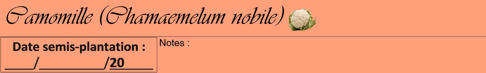 Étiquette de : Chamaemelum nobile - format a - style noire39viv avec comestibilité simplifiée