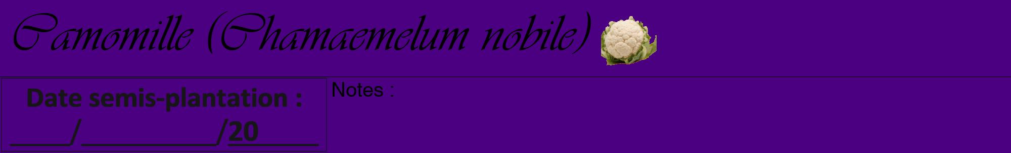 Étiquette de : Chamaemelum nobile - format a - style noire47viv avec comestibilité simplifiée