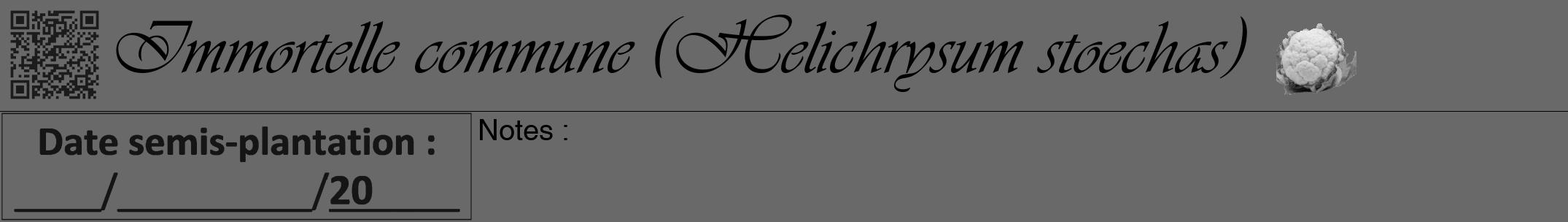 Étiquette de : Helichrysum stoechas - format a - style noire51viv avec qrcode et comestibilité simplifiée