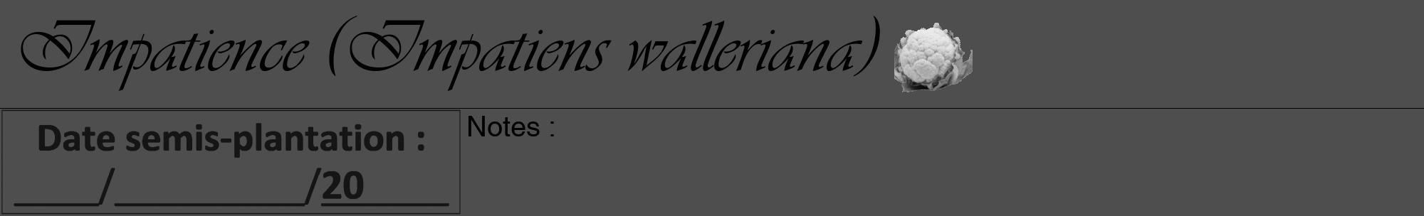 Étiquette de : Impatiens walleriana - format a - style noire33viv avec comestibilité simplifiée