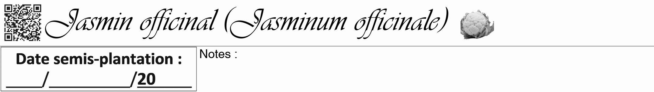 Étiquette de : Jasminum officinale - format a - style noire19viv avec qrcode et comestibilité simplifiée