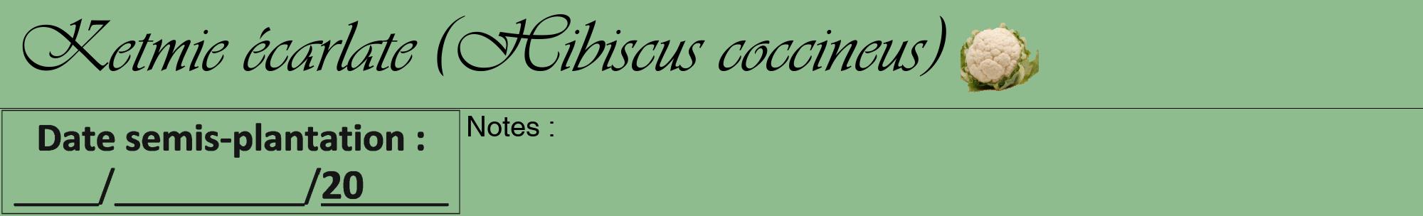 Étiquette de : Hibiscus coccineus - format a - style noire13viv avec comestibilité simplifiée