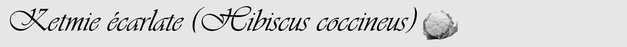Étiquette de : Hibiscus coccineus - format a - style noire18viv avec comestibilité simplifiée