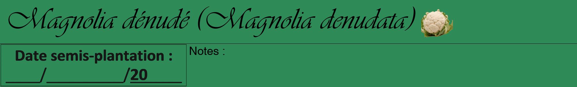 Étiquette de : Magnolia denudata - format a - style noire11viv avec comestibilité simplifiée