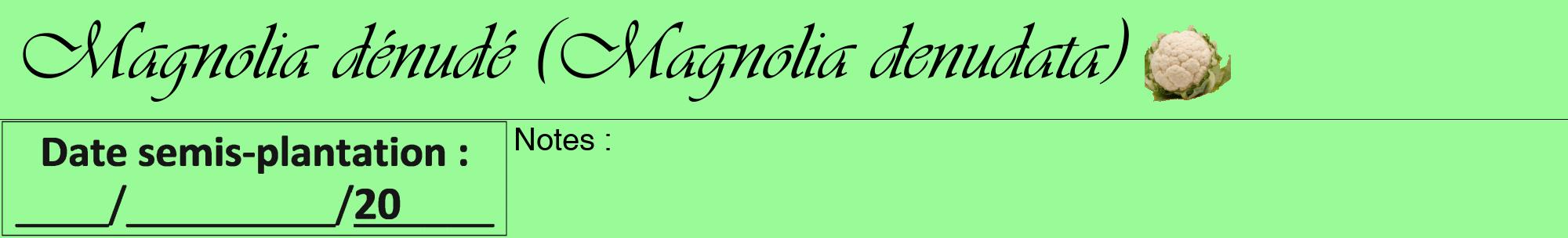 Étiquette de : Magnolia denudata - format a - style noire14viv avec comestibilité simplifiée