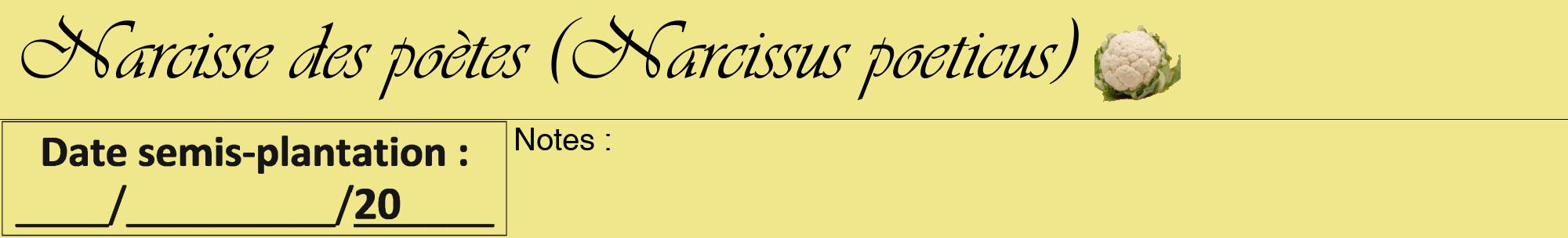 Étiquette de : Narcissus poeticus - format a - style noire20viv avec comestibilité simplifiée