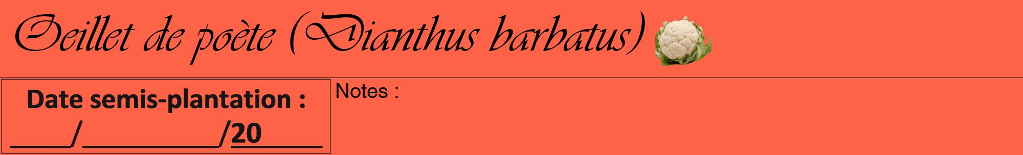 Étiquette de : Dianthus barbatus - format a - style noire25viv avec comestibilité simplifiée