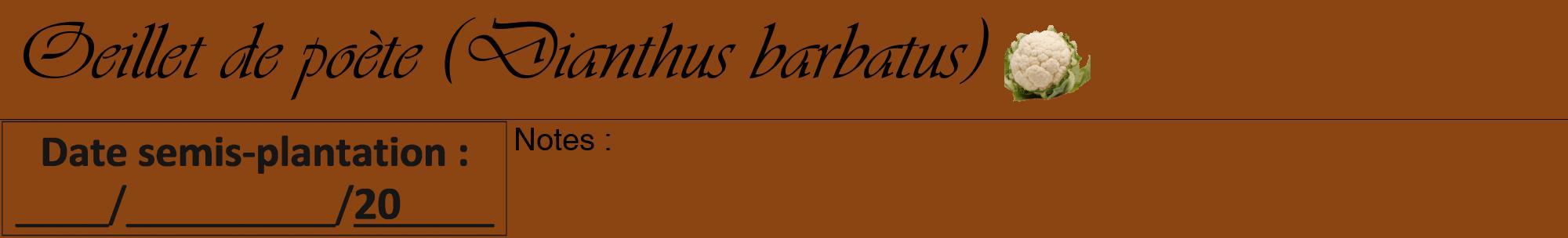 Étiquette de : Dianthus barbatus - format a - style noire30viv avec comestibilité simplifiée