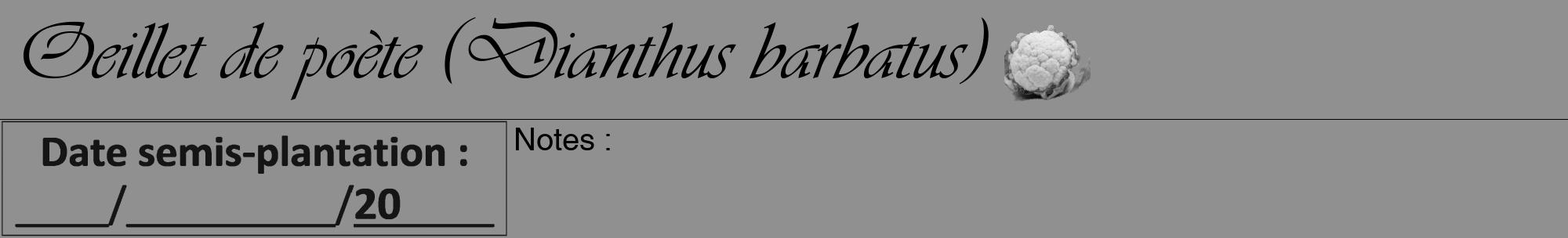 Étiquette de : Dianthus barbatus - format a - style noire4viv avec comestibilité simplifiée