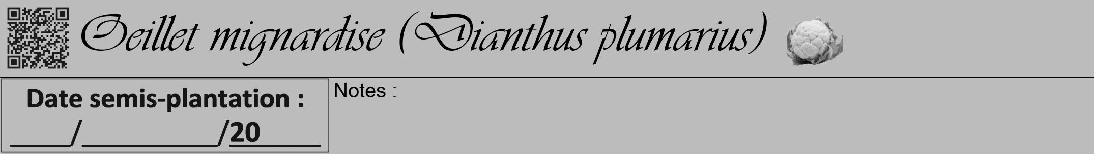 Étiquette de : Dianthus plumarius - format a - style noire1viv avec qrcode et comestibilité simplifiée