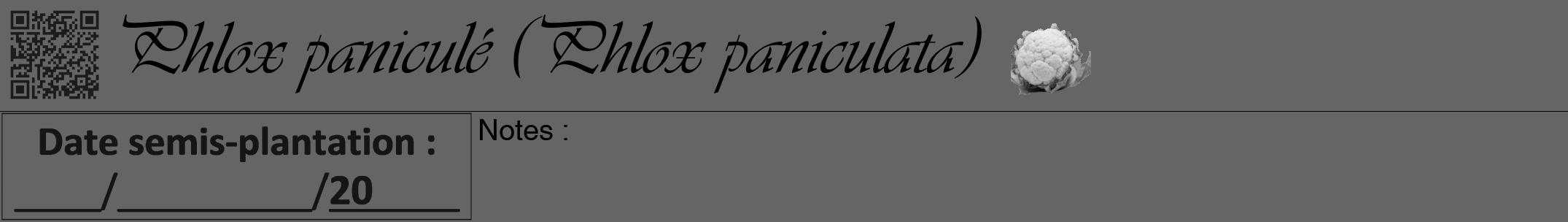 Étiquette de : Phlox paniculata - format a - style noire32simpleviv avec qrcode et comestibilité simplifiée