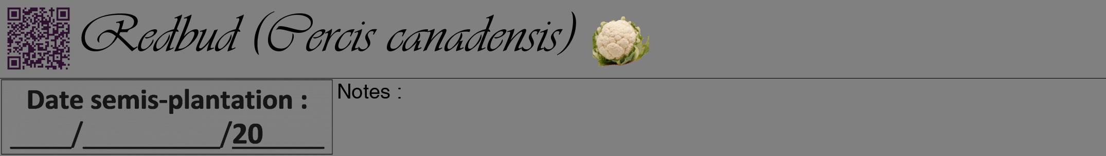 Étiquette de : Cercis canadensis - format a - style noire57simpleviv avec qrcode et comestibilité simplifiée