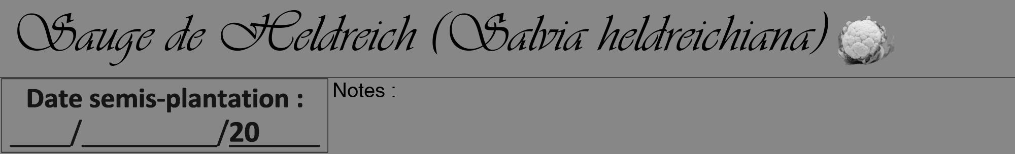Étiquette de : Salvia heldreichiana - format a - style noire12viv avec comestibilité simplifiée