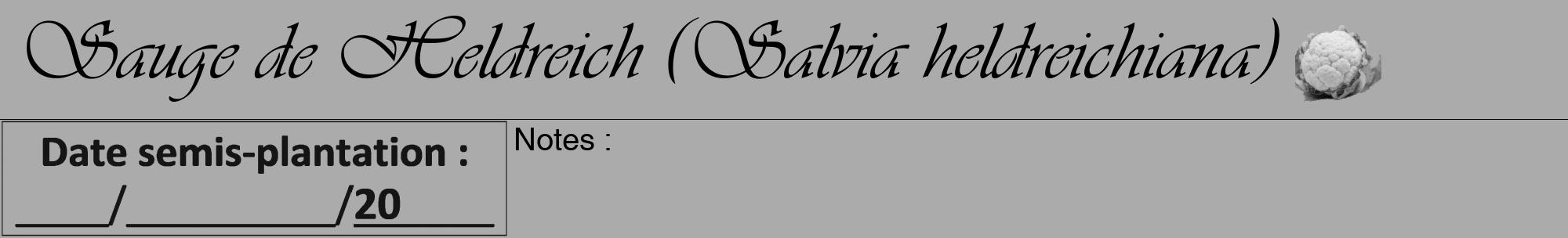 Étiquette de : Salvia heldreichiana - format a - style noire37viv avec comestibilité simplifiée