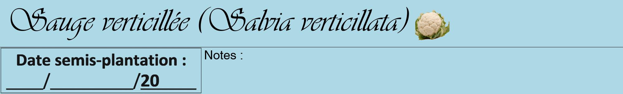 Étiquette de : Salvia verticillata - format a - style noire0viv avec comestibilité simplifiée