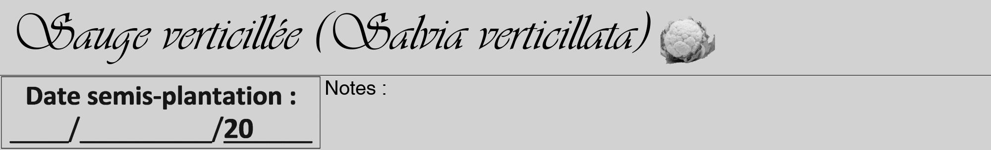Étiquette de : Salvia verticillata - format a - style noire14viv avec comestibilité simplifiée