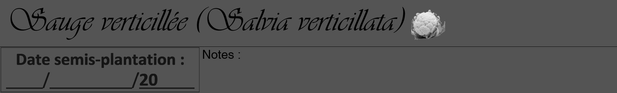 Étiquette de : Salvia verticillata - format a - style noire36viv avec comestibilité simplifiée