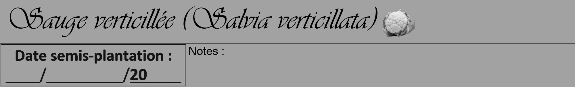 Étiquette de : Salvia verticillata - format a - style noire38viv avec comestibilité simplifiée