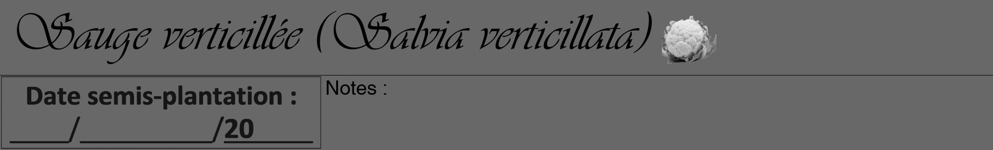 Étiquette de : Salvia verticillata - format a - style noire43viv avec comestibilité simplifiée