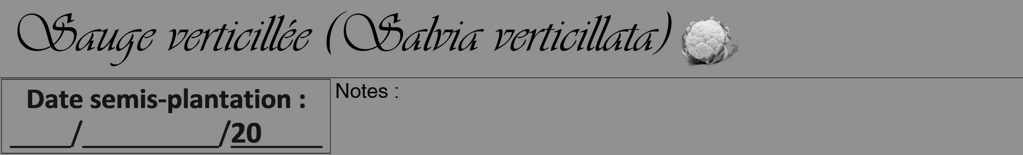Étiquette de : Salvia verticillata - format a - style noire4viv avec comestibilité simplifiée