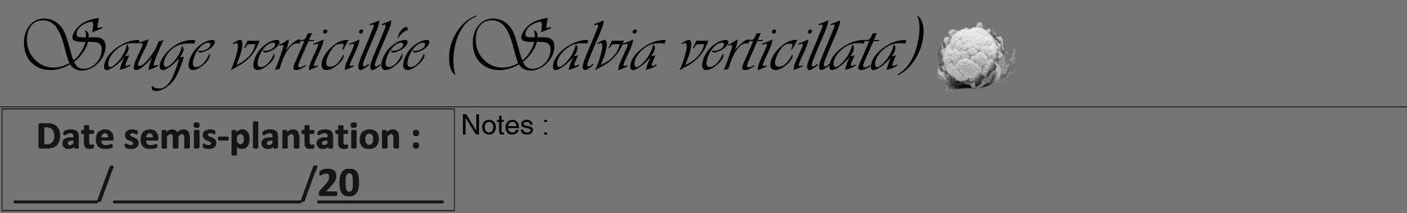 Étiquette de : Salvia verticillata - format a - style noire5viv avec comestibilité simplifiée