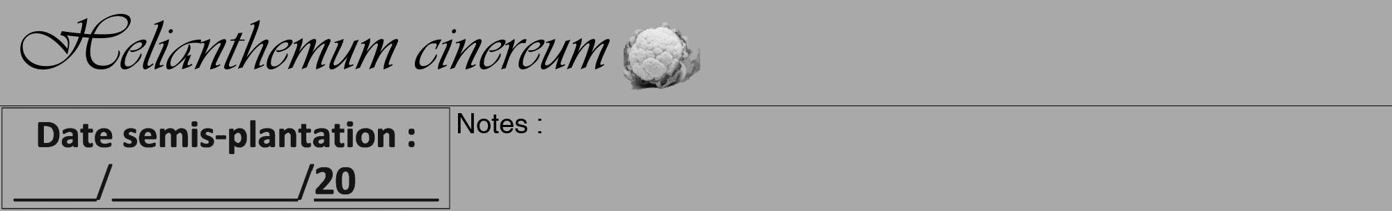 Étiquette de : Helianthemum cinereum - format a - style noire13viv avec comestibilité simplifiée