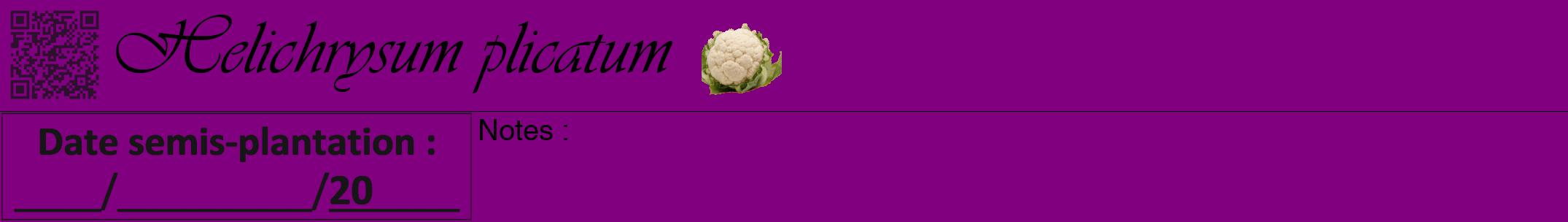 Étiquette de : Helichrysum plicatum - format a - style noire46viv avec qrcode et comestibilité simplifiée