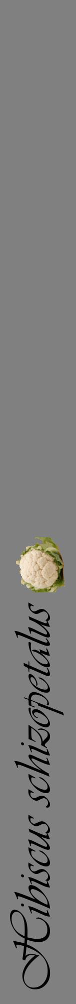 Étiquette de : Hibiscus schizopetalus - format a - style noire57viv avec comestibilité simplifiée