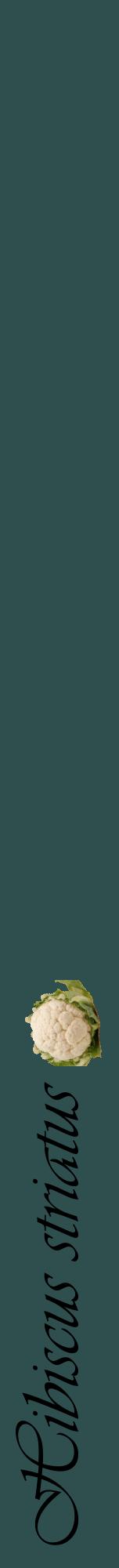 Étiquette de : Hibiscus striatus - format a - style noire58viv avec comestibilité simplifiée