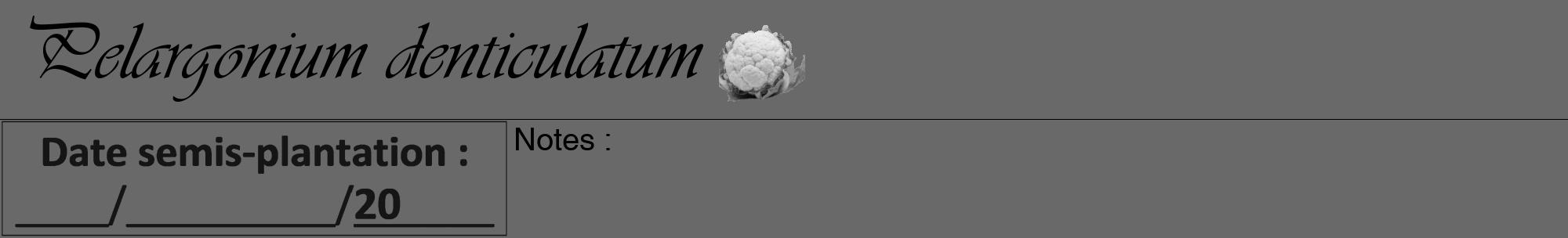 Étiquette de : Pelargonium denticulatum - format a - style noire11viv avec comestibilité simplifiée