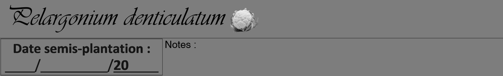 Étiquette de : Pelargonium denticulatum - format a - style noire35basiqueviv avec comestibilité simplifiée