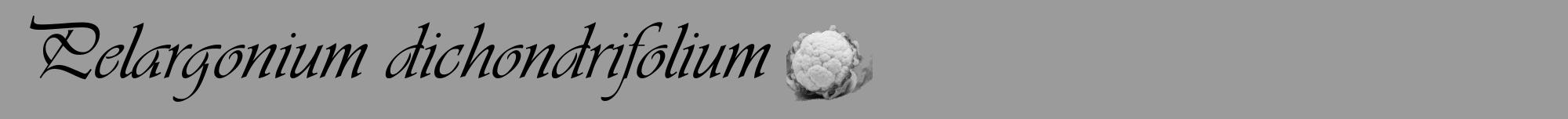 Étiquette de : Pelargonium dichondrifolium - format a - style noire52viv avec comestibilité simplifiée