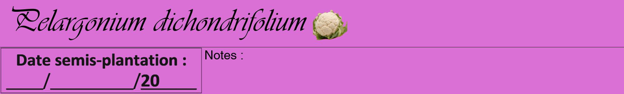 Étiquette de : Pelargonium dichondrifolium - format a - style noire52viv avec comestibilité simplifiée