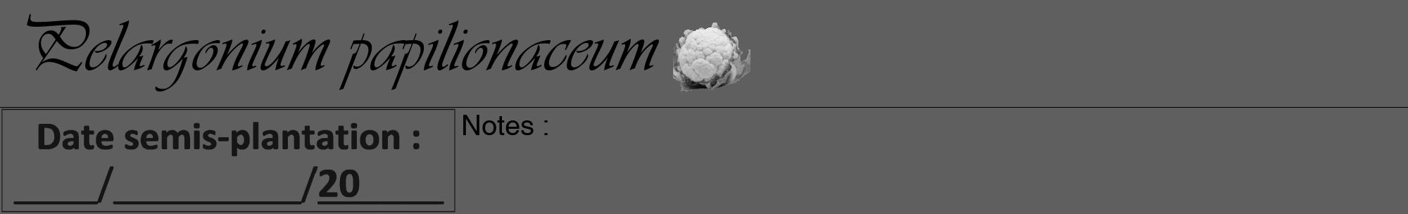 Étiquette de : Pelargonium papilionaceum - format a - style noire10viv avec comestibilité simplifiée