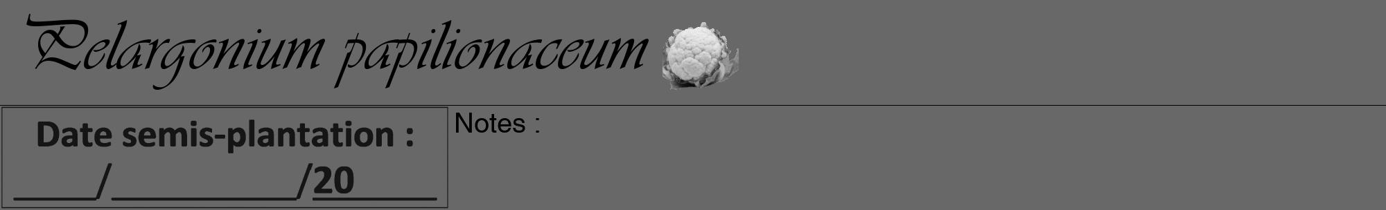 Étiquette de : Pelargonium papilionaceum - format a - style noire43basiqueviv avec comestibilité simplifiée